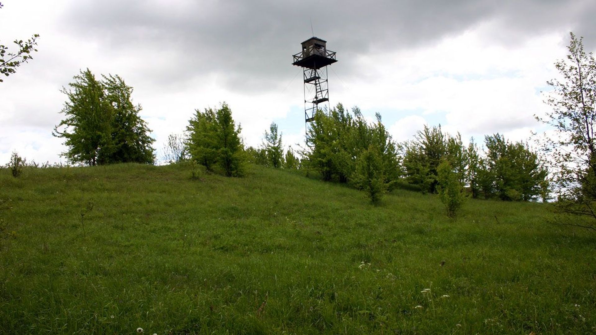 Žalioji Mound