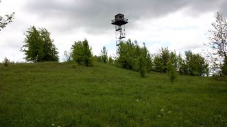 Žalioji Mound