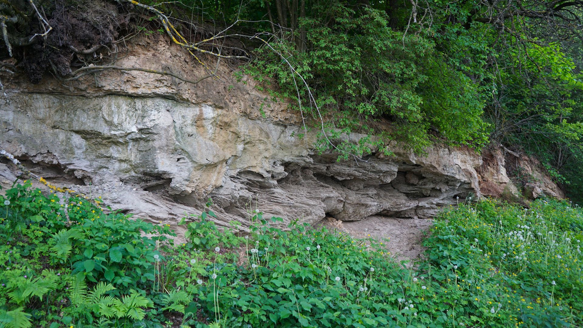 Kalniškių konglomeratų atodanga