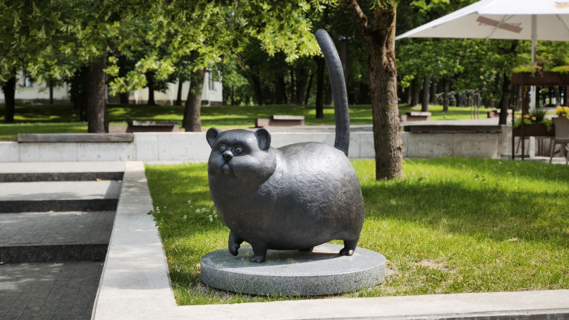 Kukutis Cat