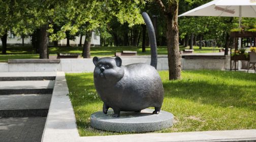 Kukučio katinas