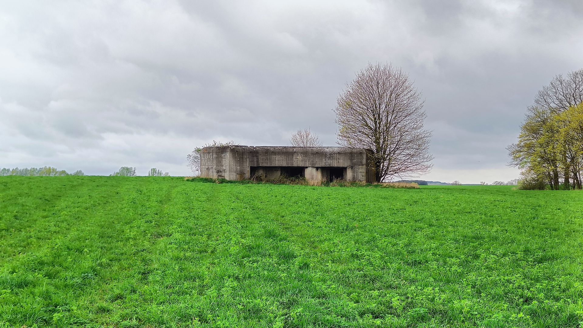 Molotovo linijos bunkeris (Tabarauskai)