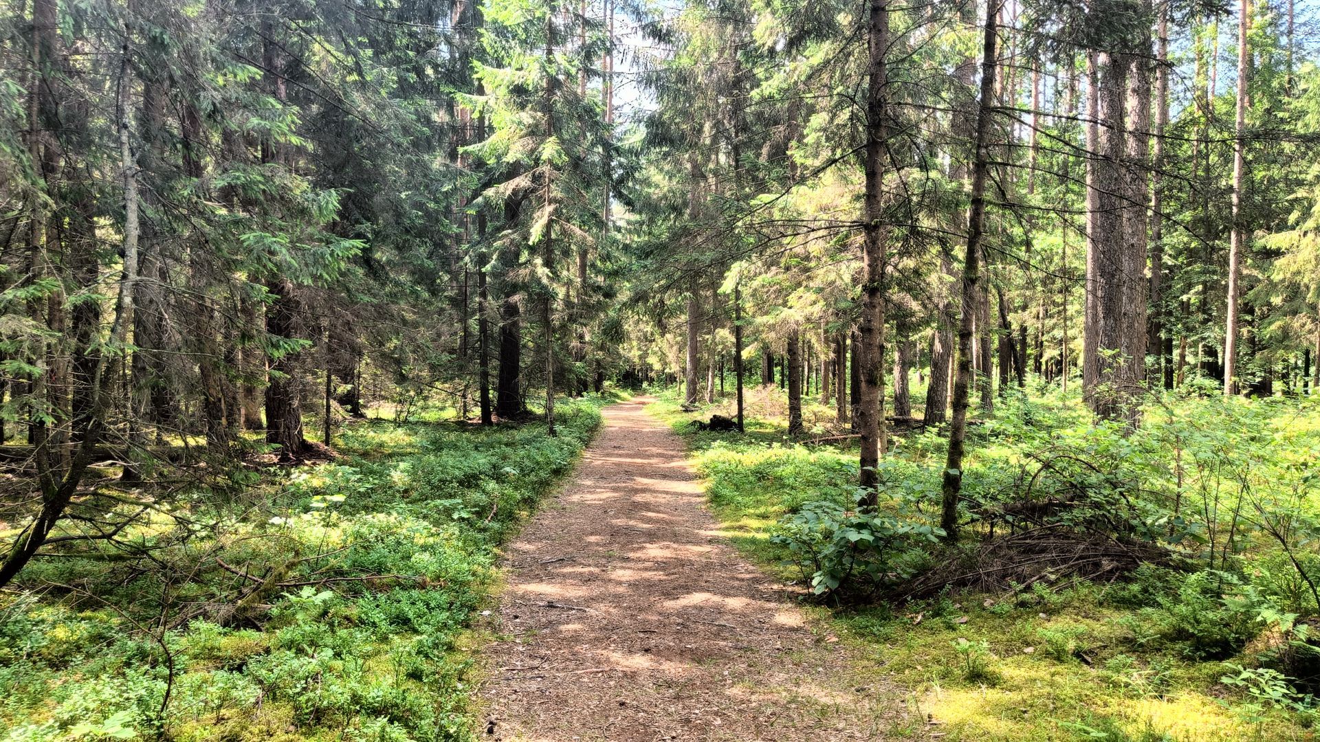Lekėčiai Cognitive Trail