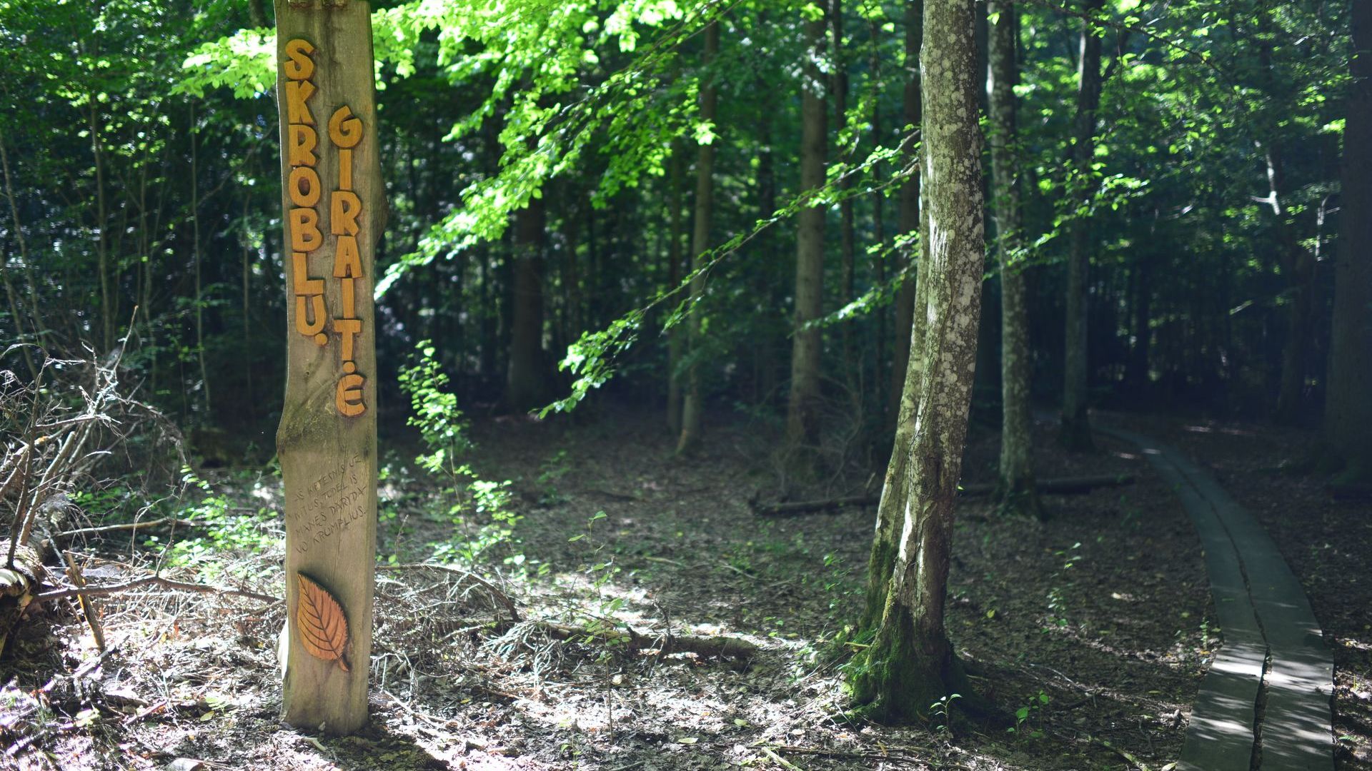 Plauginiai Forest Path