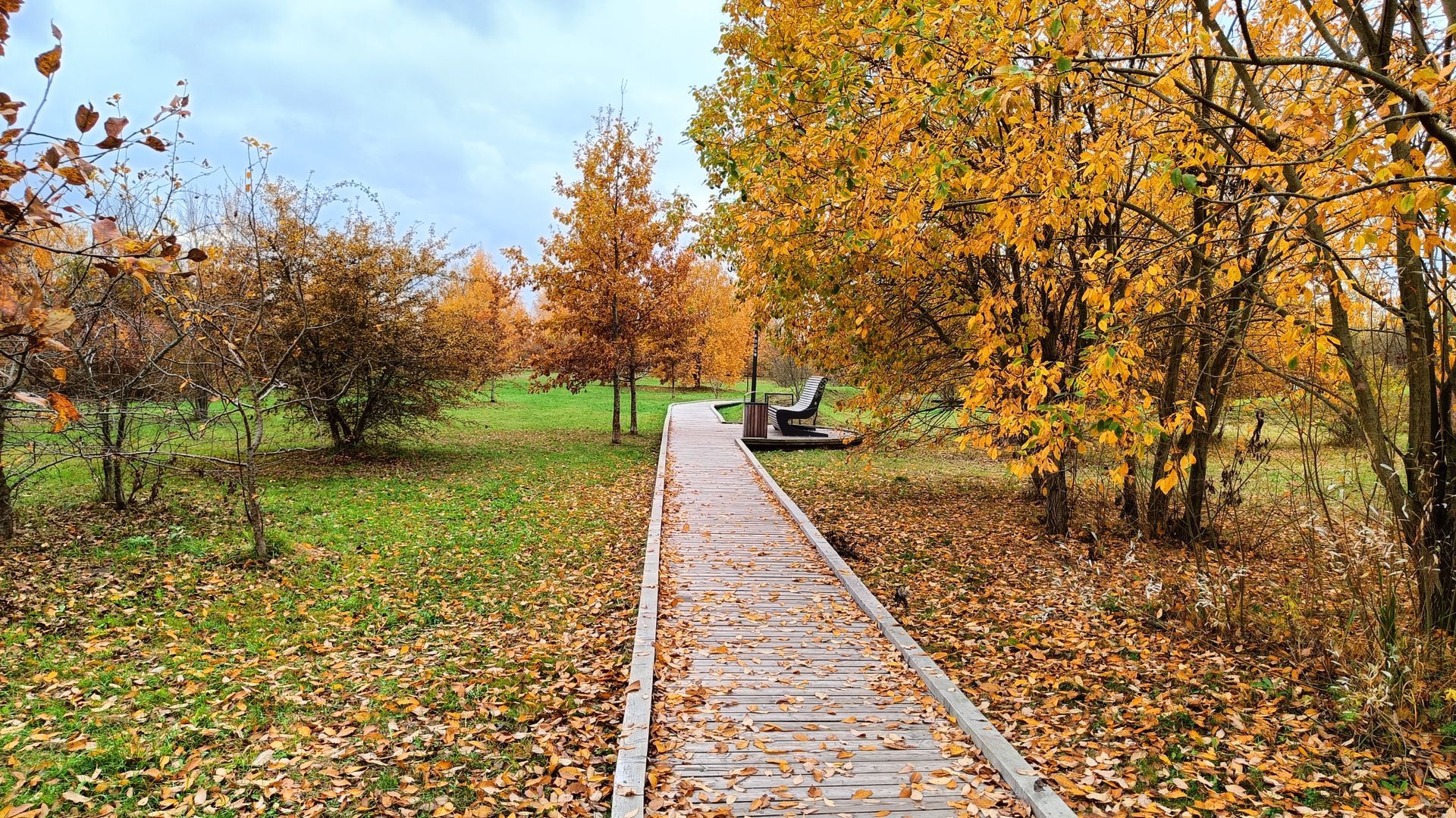 Kniaudiškis Park