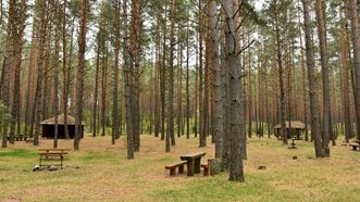 Gaveikėnai Campsite