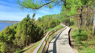 Arlaviškių botaninio draustinio pažintinis takas