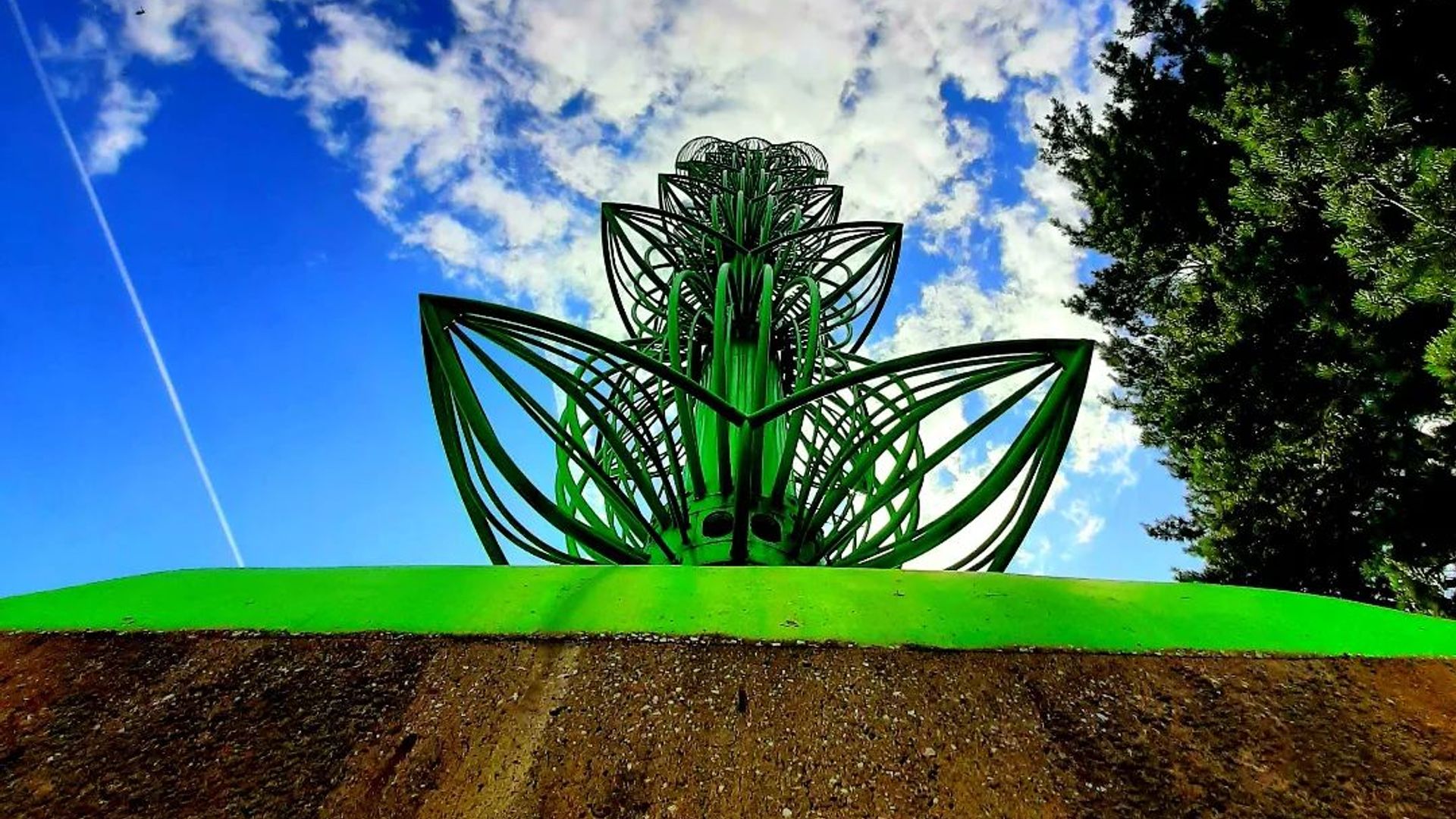 Sculpture Apple Tree Ring