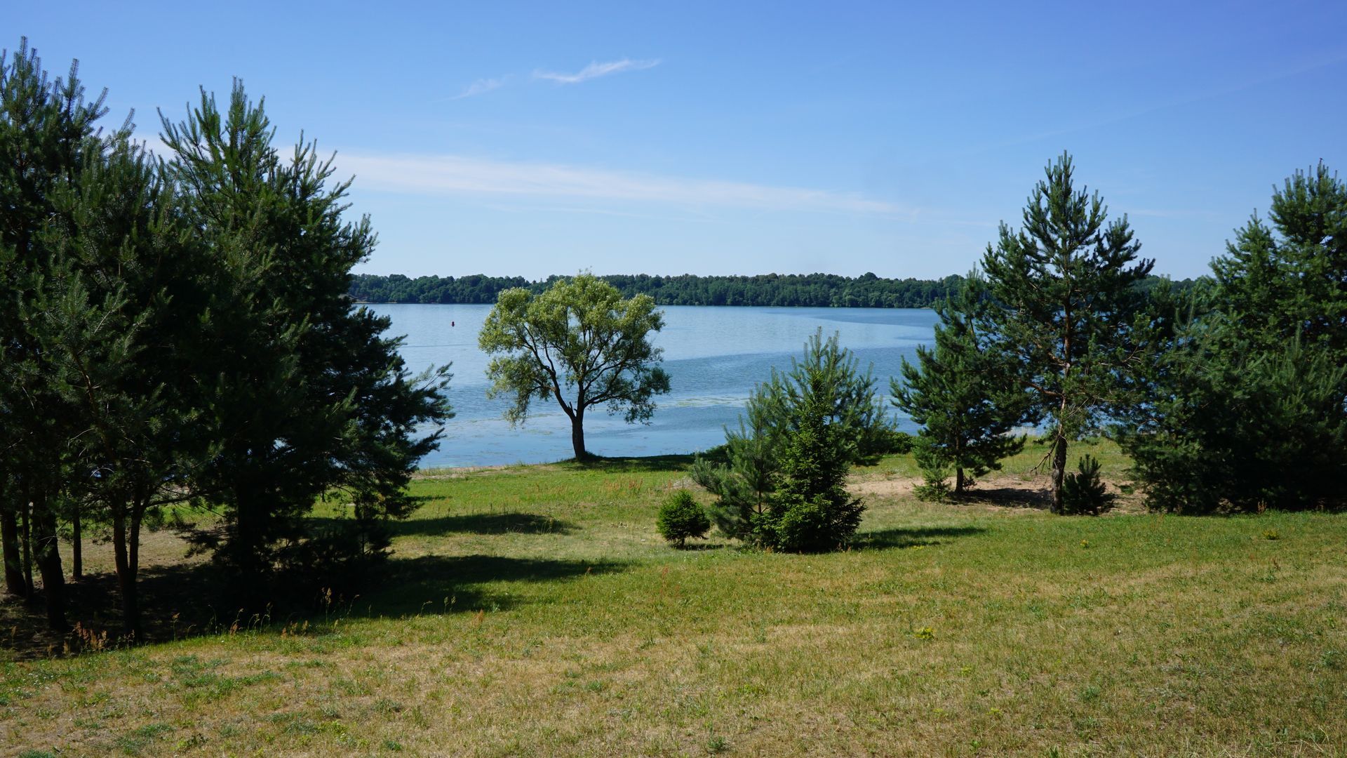 Pažaislis Path