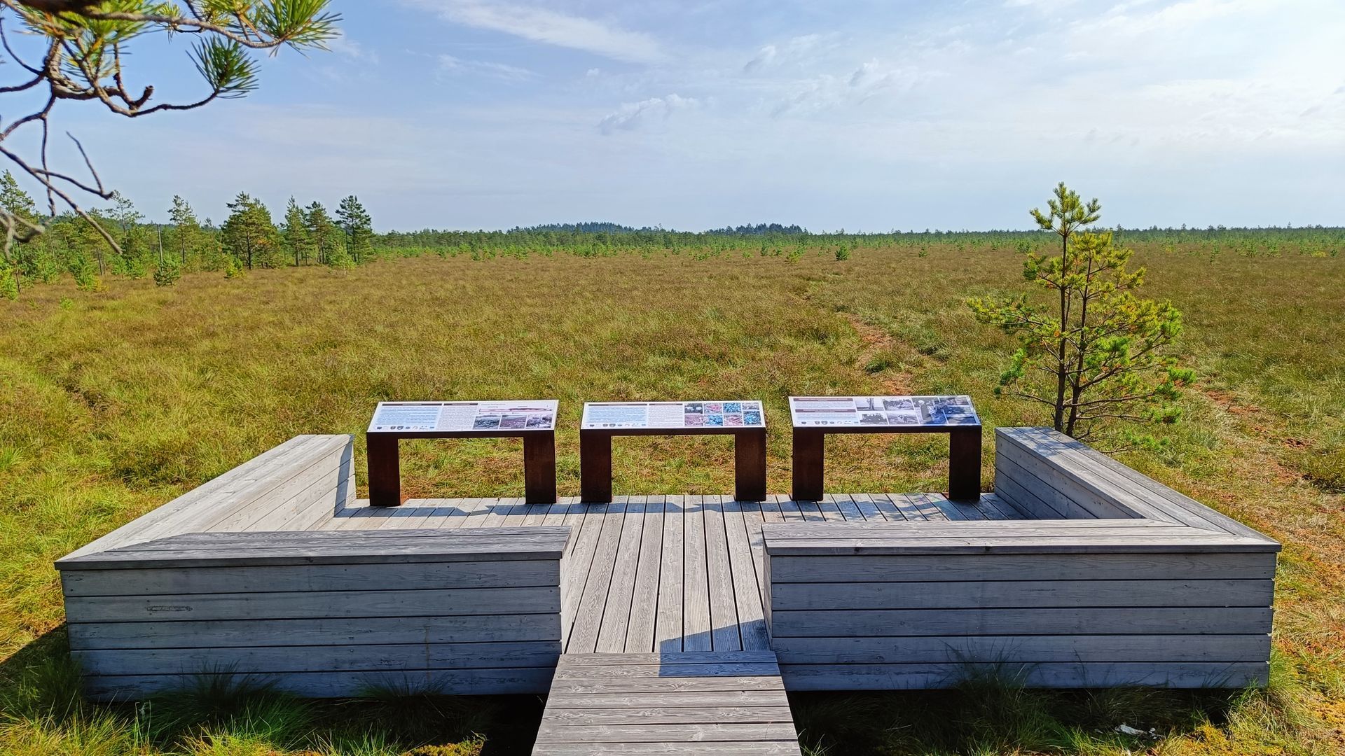 Čepkeliai Swamp Observation Deck