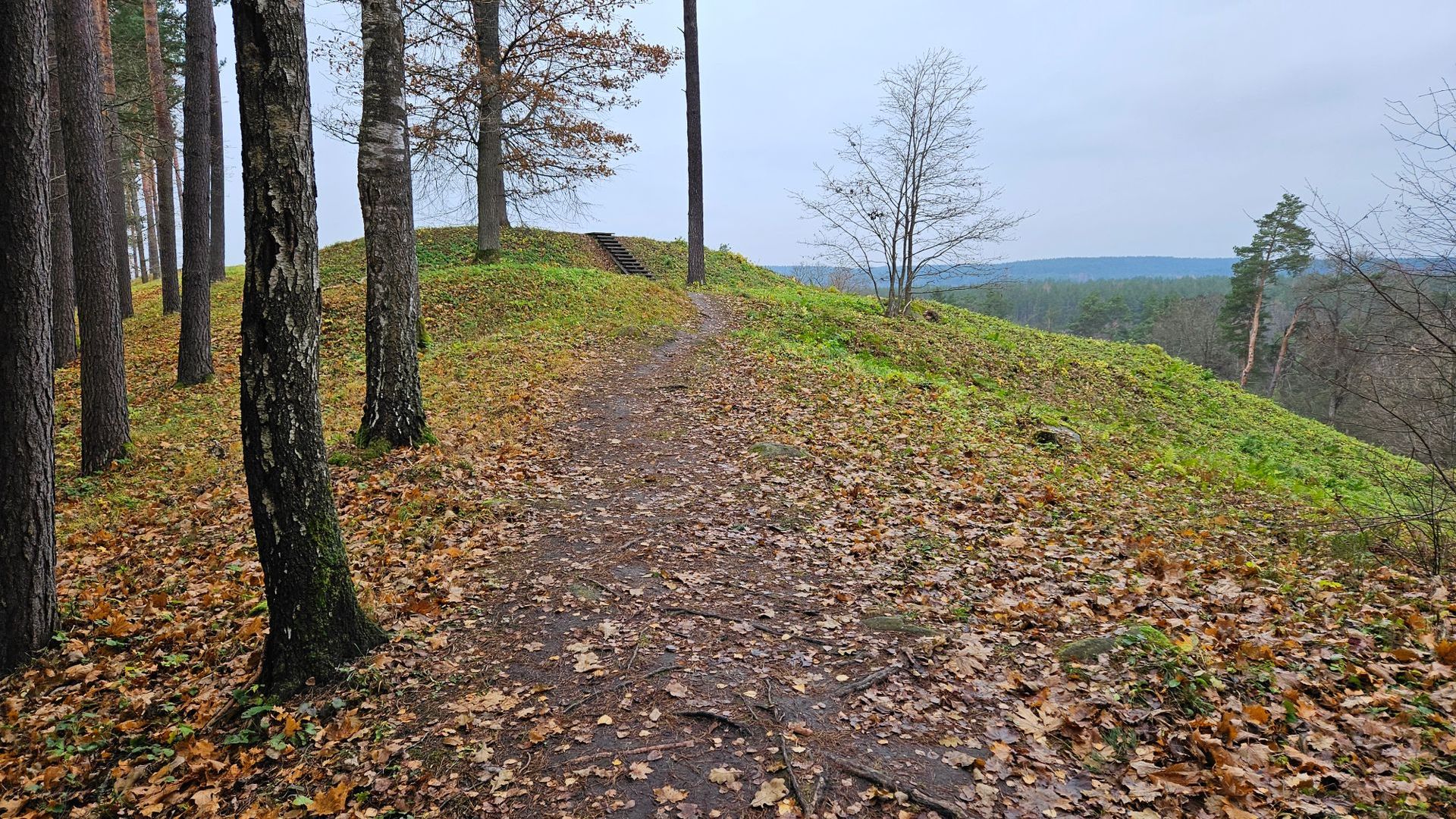 Stirniai Mound