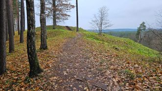 Stirniai Mound