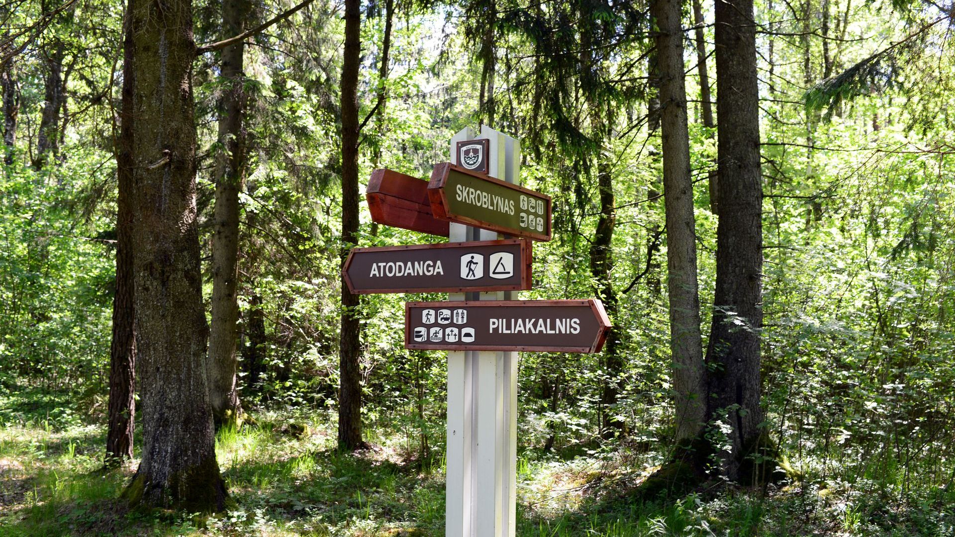 Šilpelkė Cognitive Trail