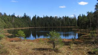 Lake Piktežeris