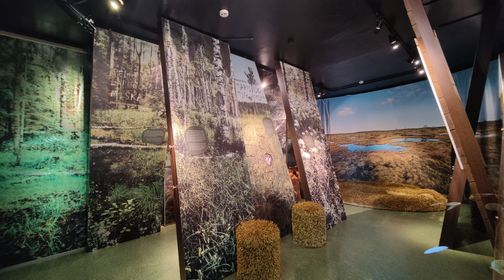 Kamanos Reserve Visitor Center