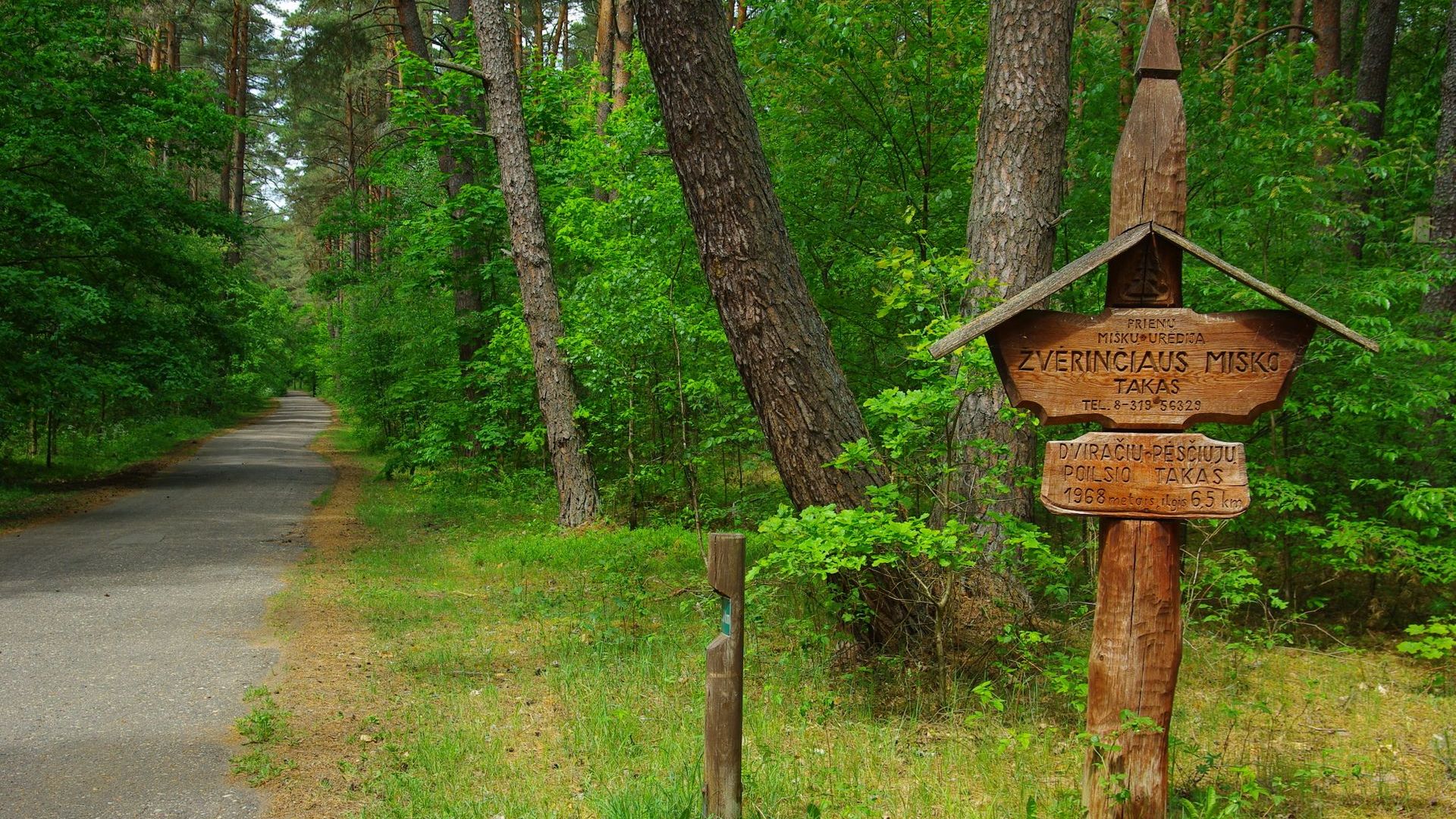 Žvėrinčius Forest Path