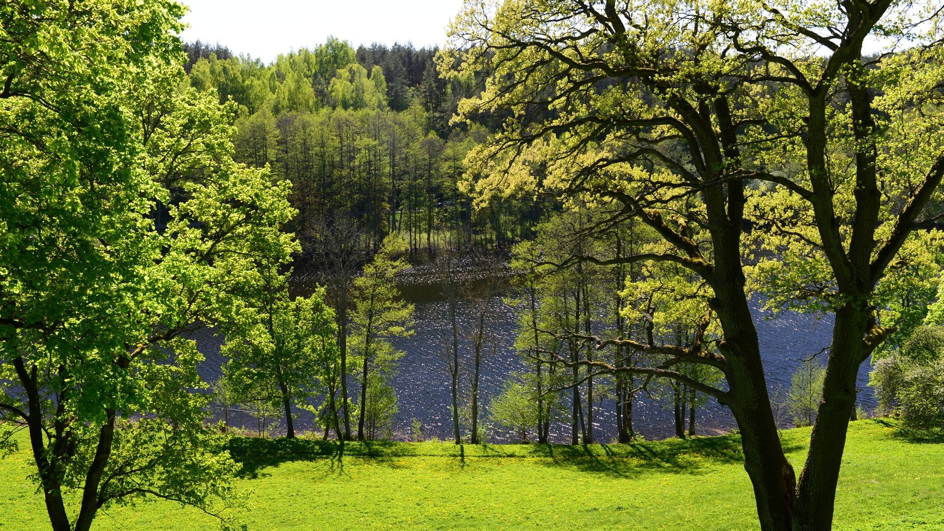 Dubingiai Castle Site