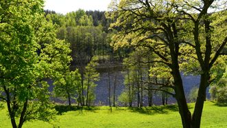 Dubingiai Castle Site