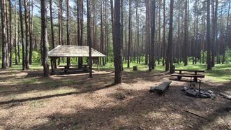 Gaveikėnų stovyklavietė