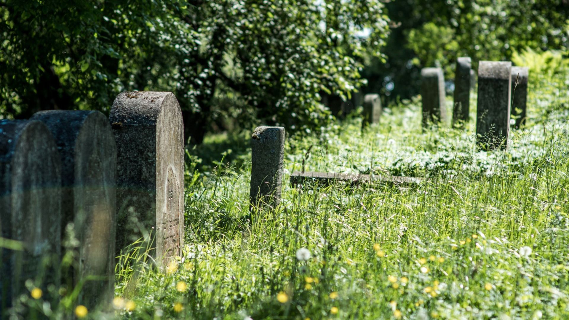 Gargždai Old Jewish Cemetery