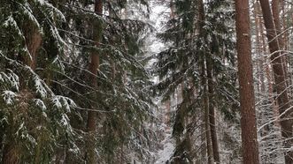 Šventoji River Trail