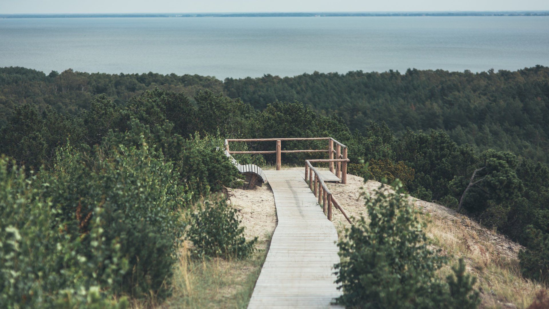 Vecekrugas Dune