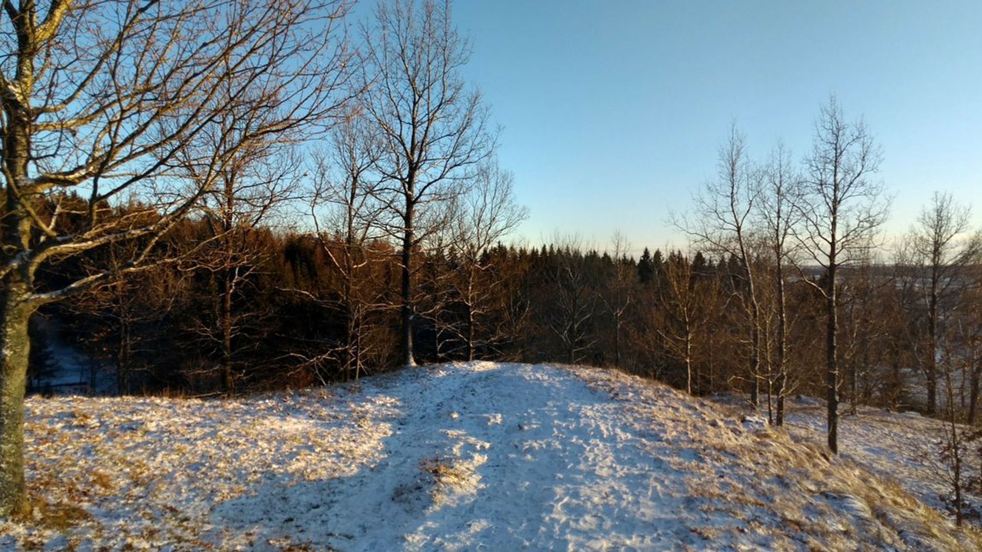 Lopaičiai Mound