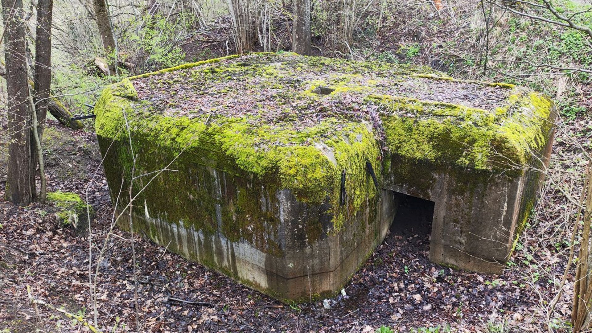 Molotov Line's Bunker