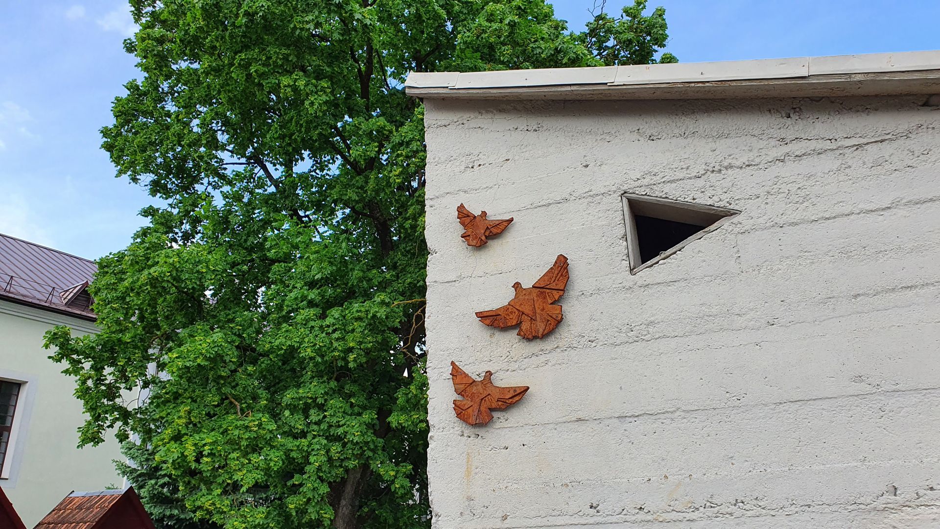 Free Pigeons