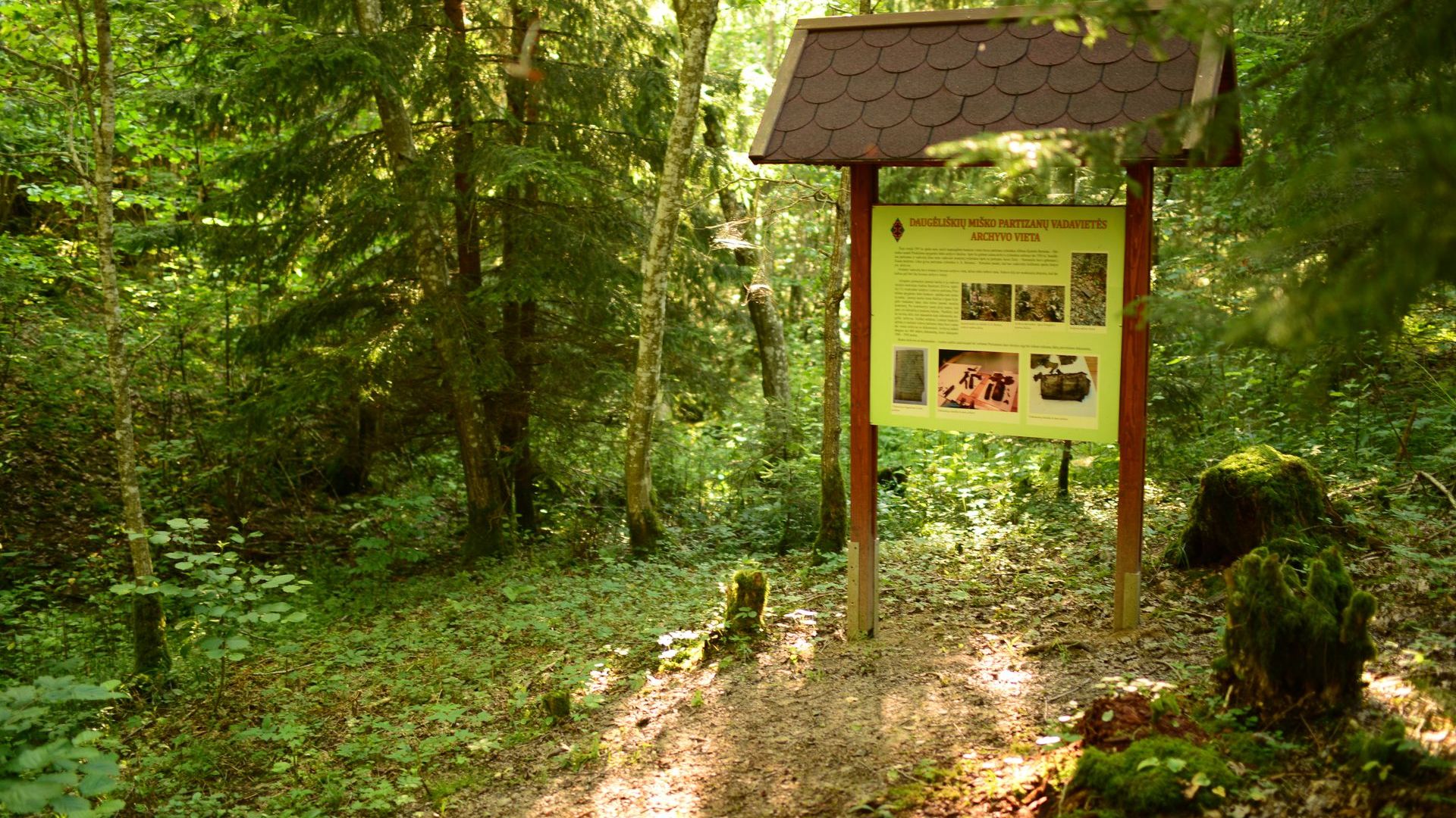 Daugėliškių miško partizanų vadavietės archyvo vieta