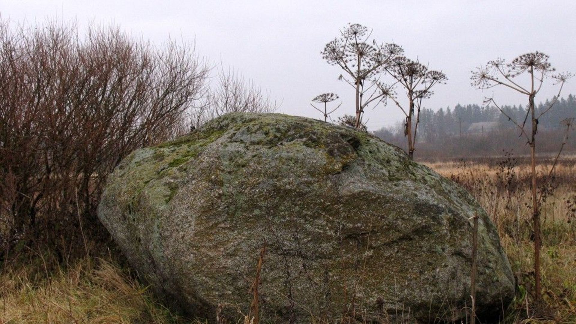 Boulder of Mosėdis