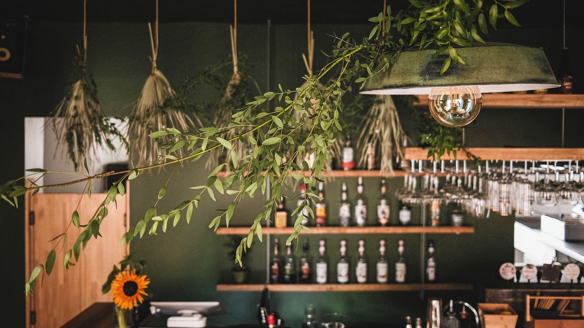 BO Bar