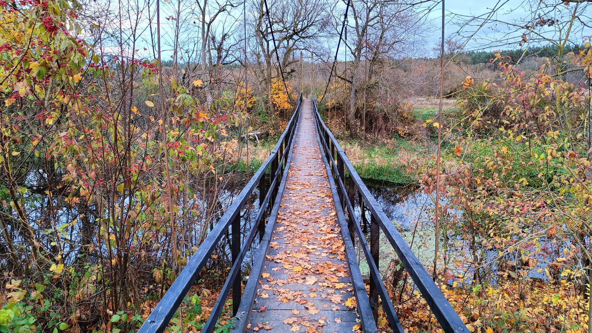 Vadaktėliai Hanging Bridge