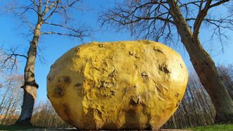 Sculpture for a Potato