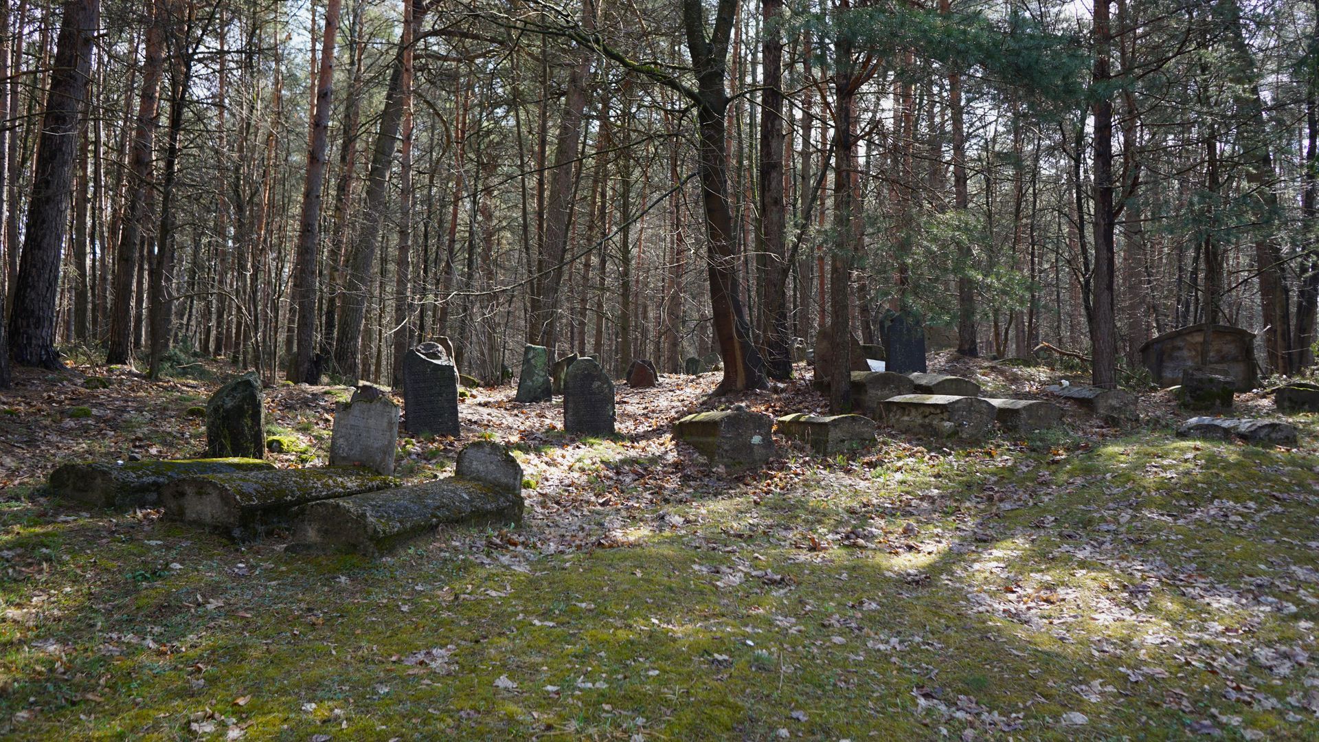 Alytus Old Jewish Cemetery
