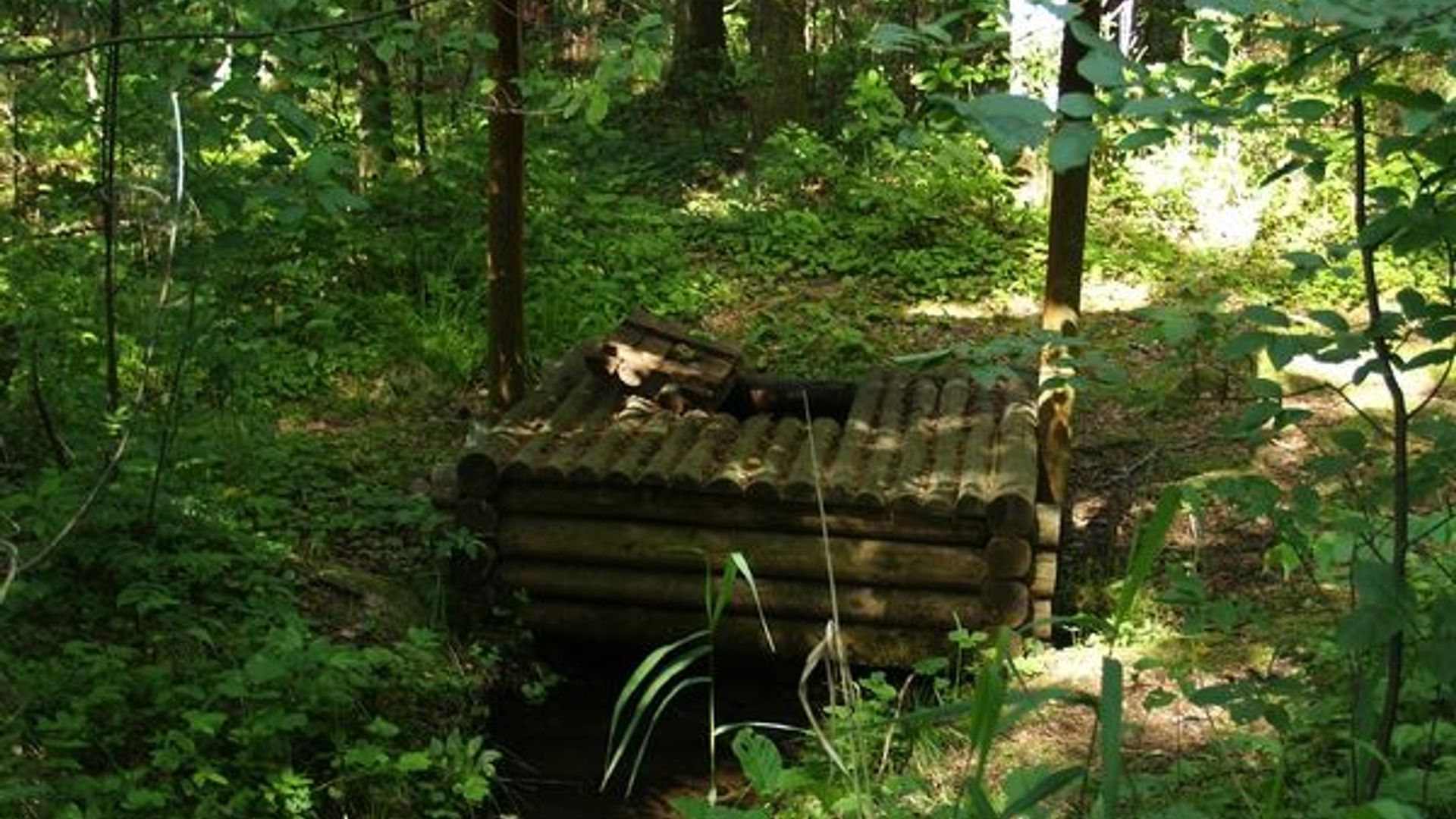 Papliaušys Spring