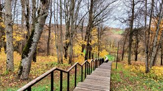 Gargždai Park