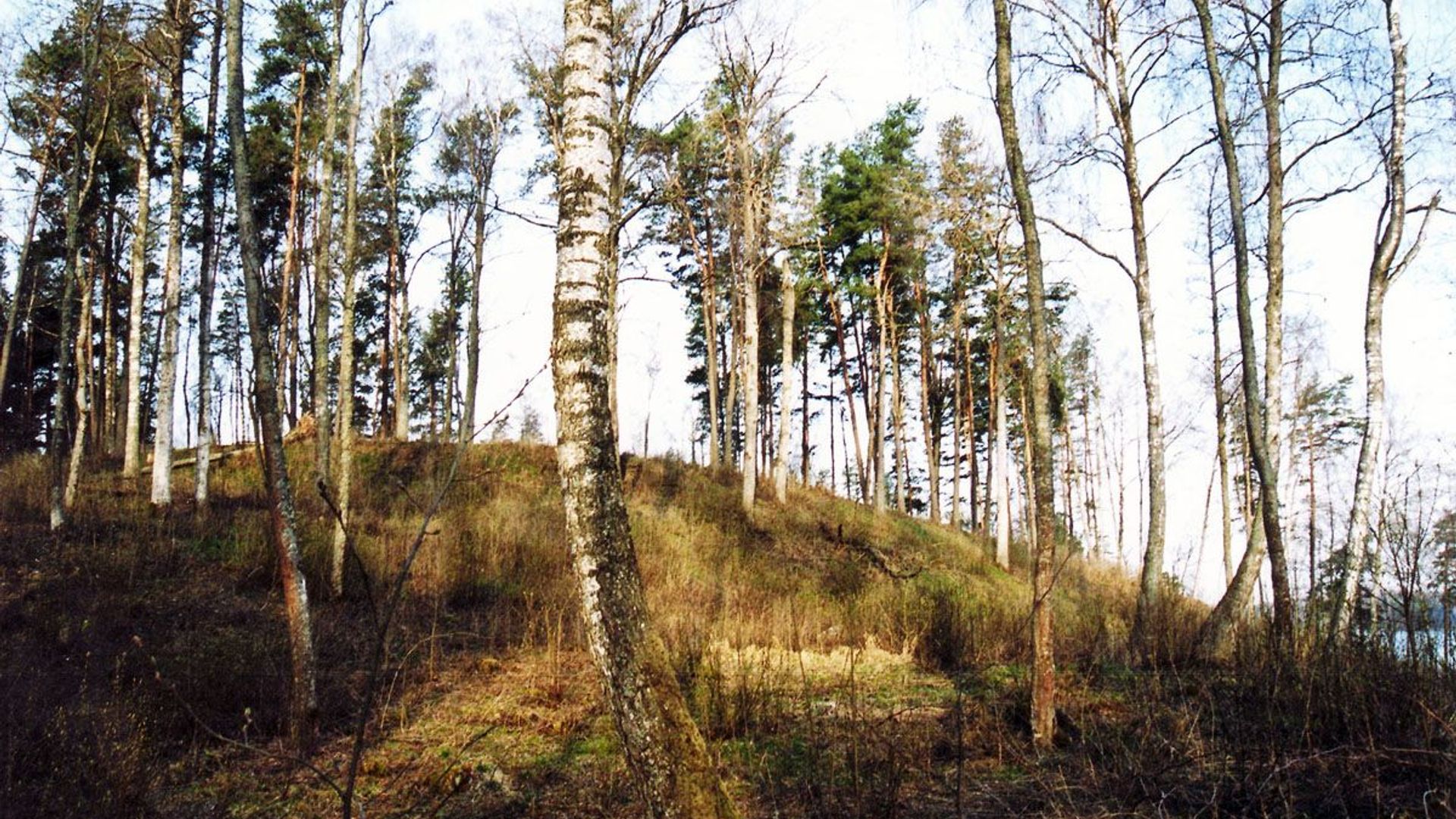Zokoriai Mound