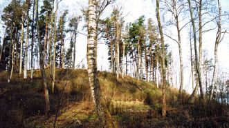 Zokorių piliakalnis