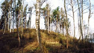 Zokoriai Mound