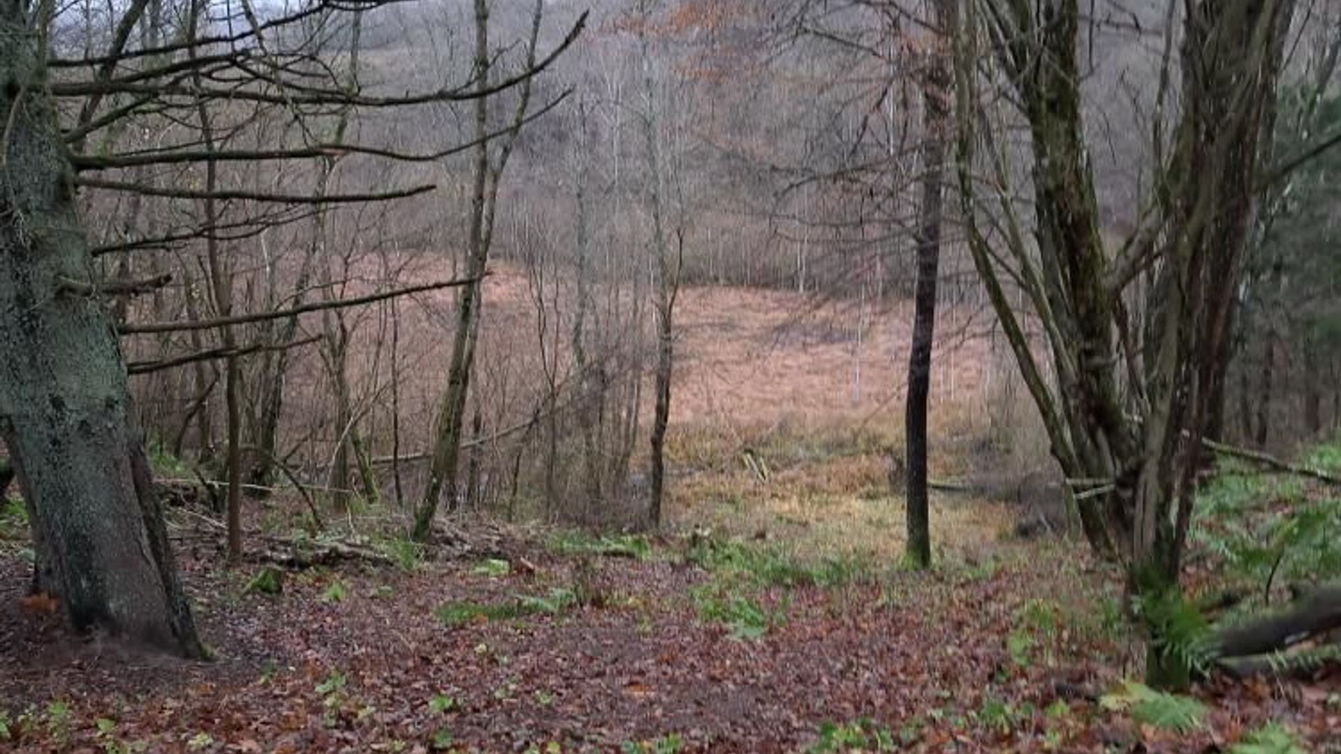 Antaveršis Pit