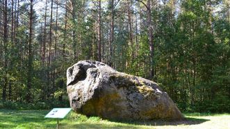 The Giant Stone of Dzūkija
