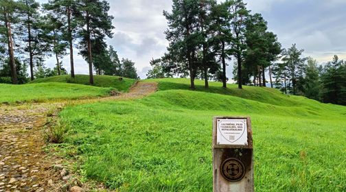 Pilės (Kaltinėnų) piliakalnis