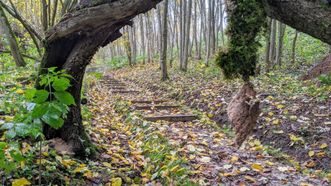 Rokantiškių piliakalnio pažintinis takas