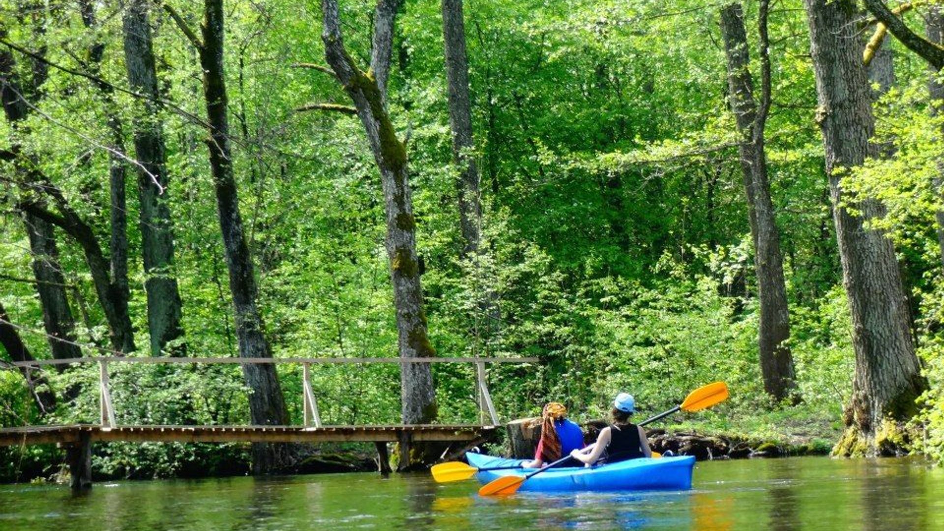 Baidarių bazė Kiškių kaime