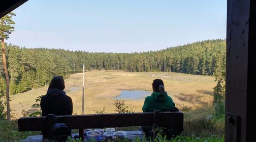 Paplatelė Cognitive Trail