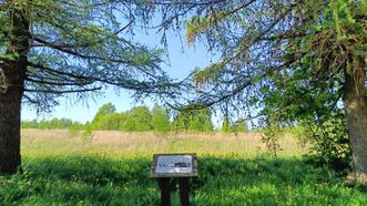 Statiškė Battlefield