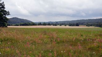 Martynaičiai Mound