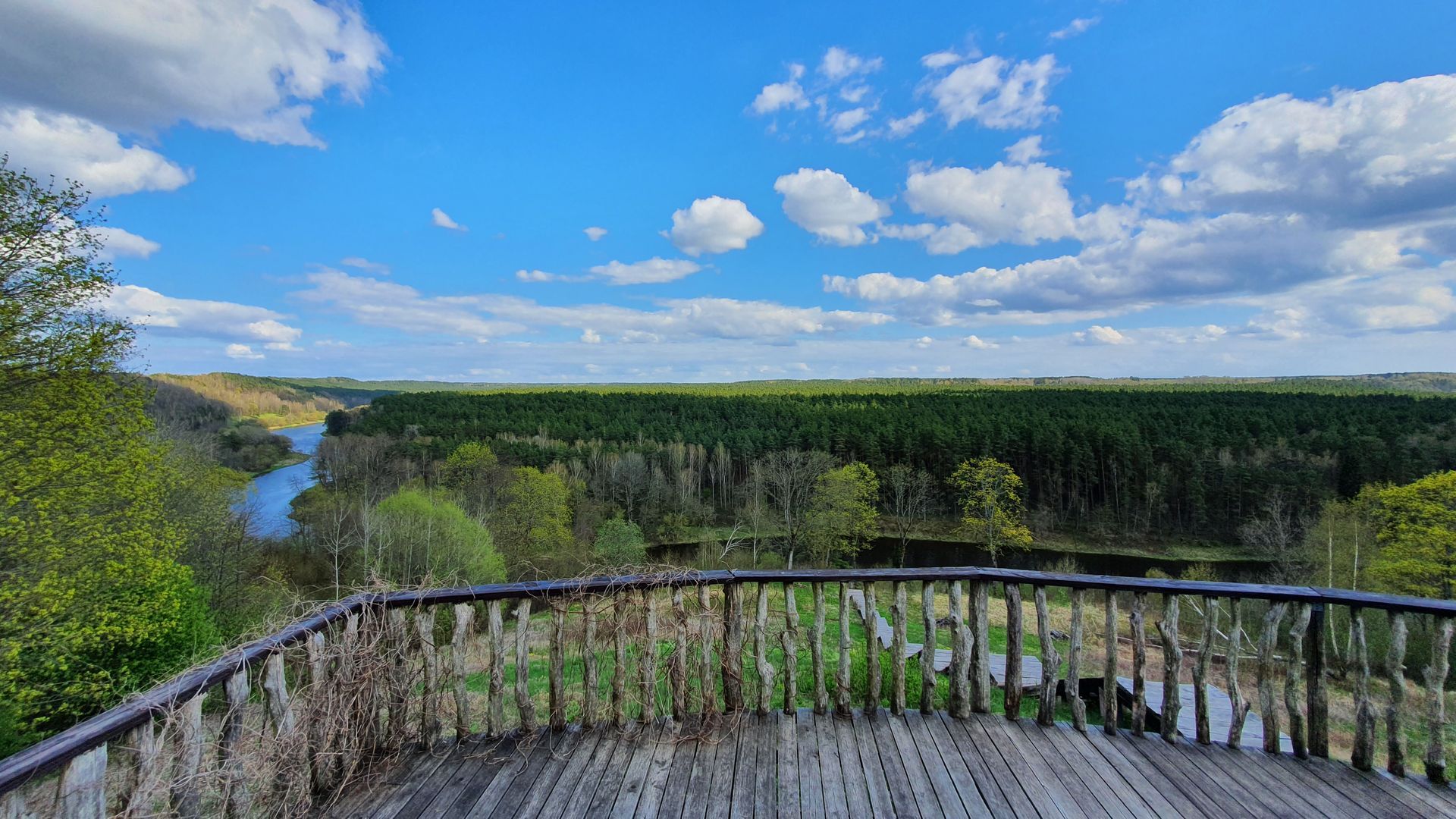 Verkšionys Sight