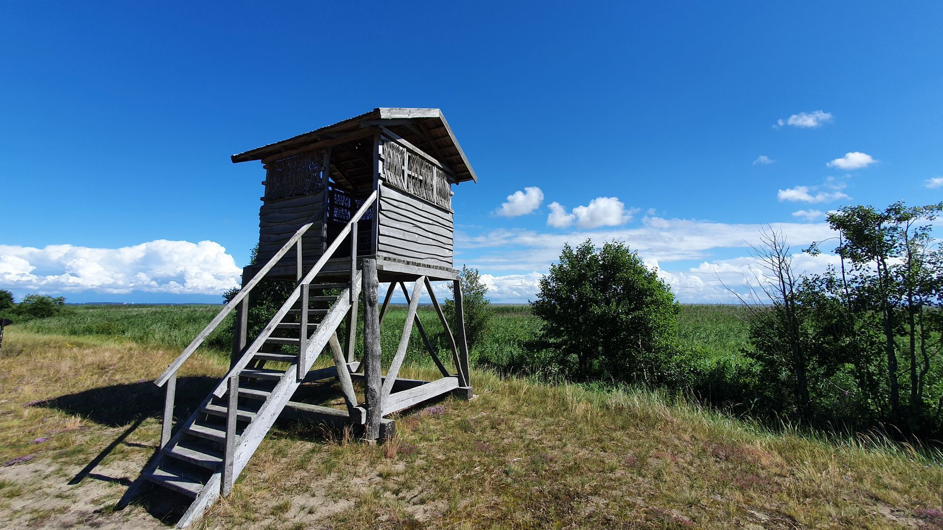 Birds Watching Tower